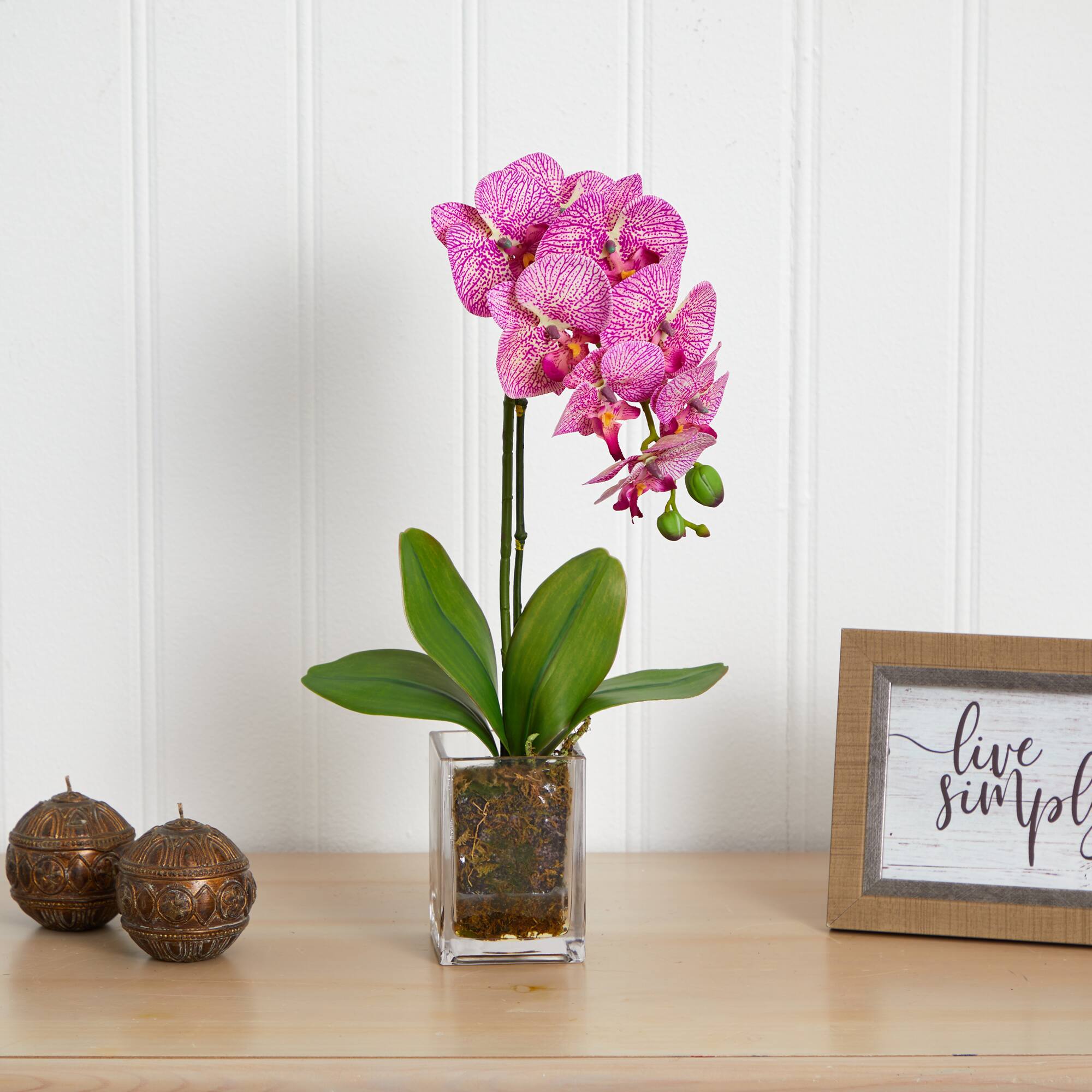 24" Pink Moth Orchid Arrangement in Vase